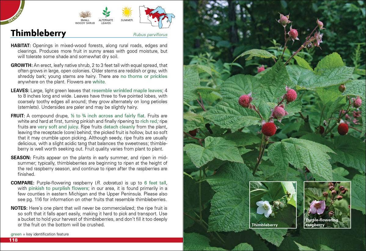 Wild Berries & Fruits of Minnesota, Wisconsin, and Michigan