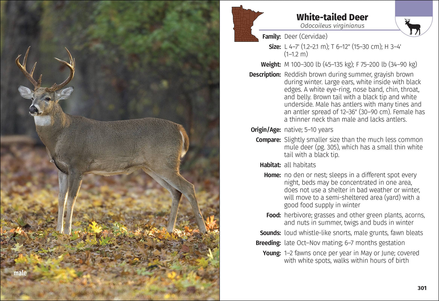 Mammals of Minnesota Field Guide