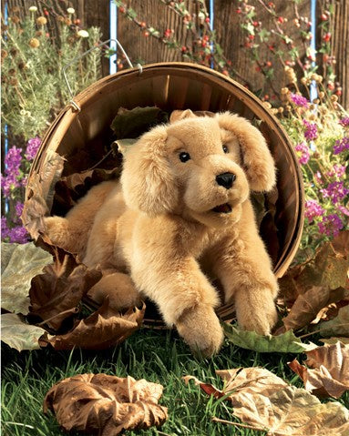 FOLKMANIS® Golden Retriever Puppy Puppet