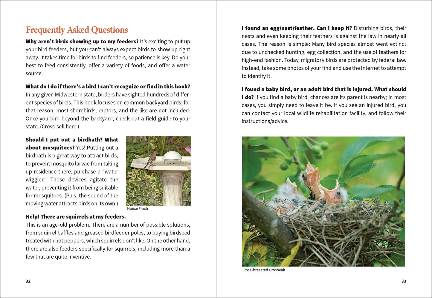 Stan Tekiela Birding Beginners: Midwest