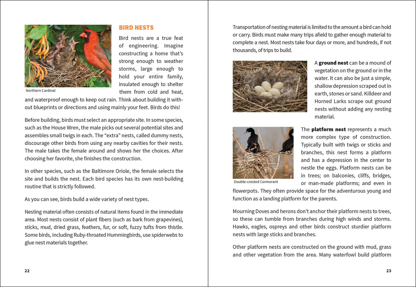 Stan Tekiela Birding Beginners: Midwest