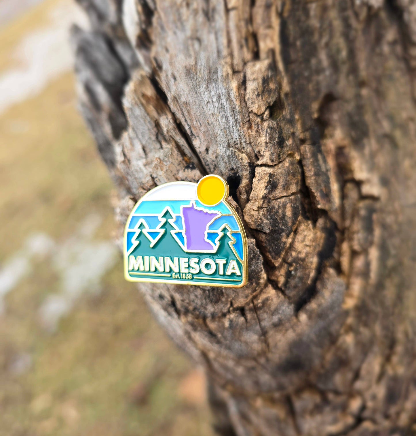 Minnesota hard enamel pin