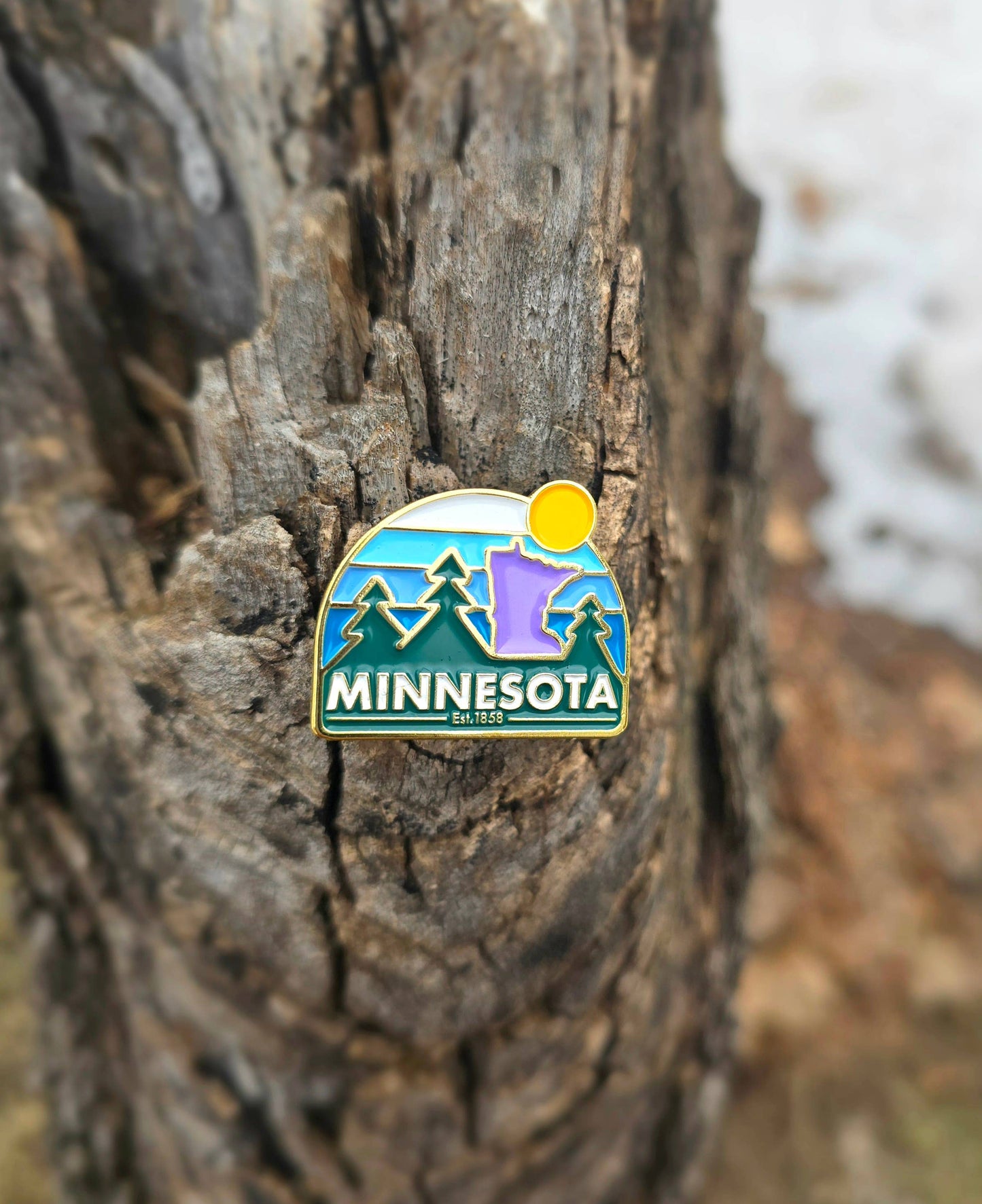 Minnesota hard enamel pin