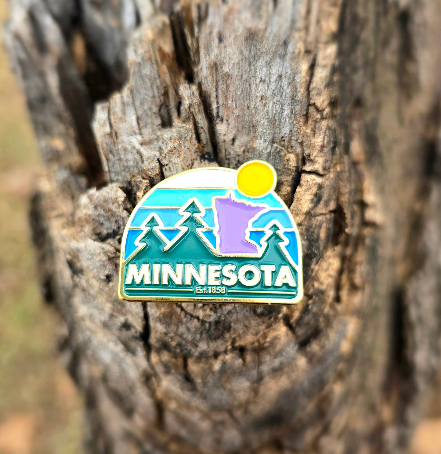 Minnesota hard enamel pin