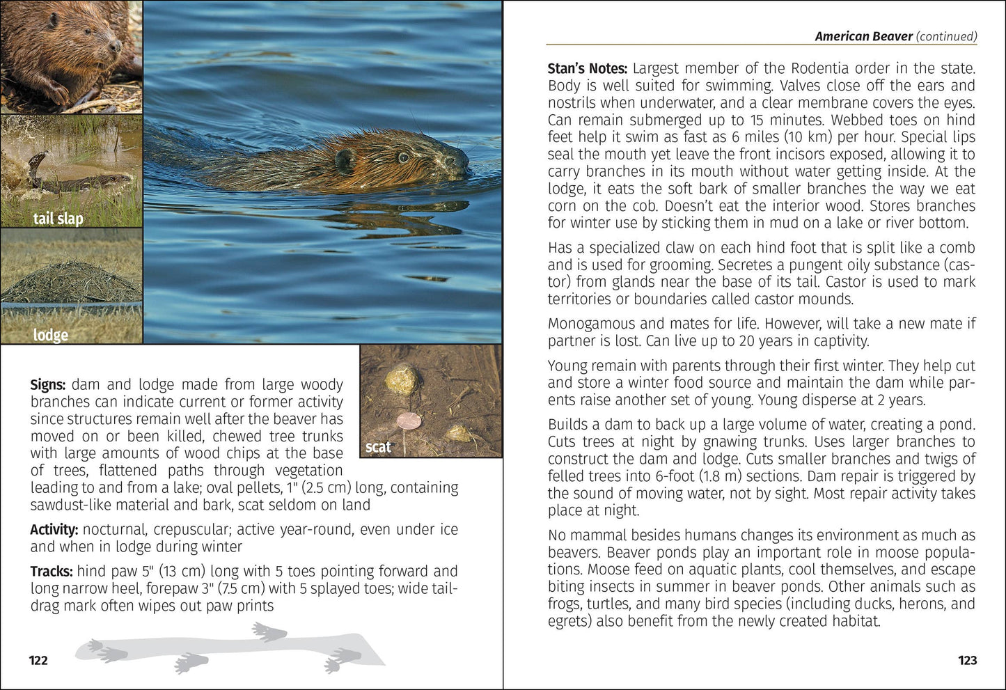 Mammals of Minnesota Field Guide