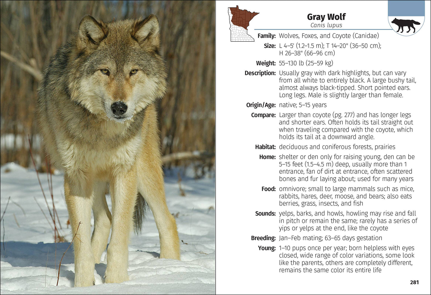 Mammals of Minnesota Field Guide