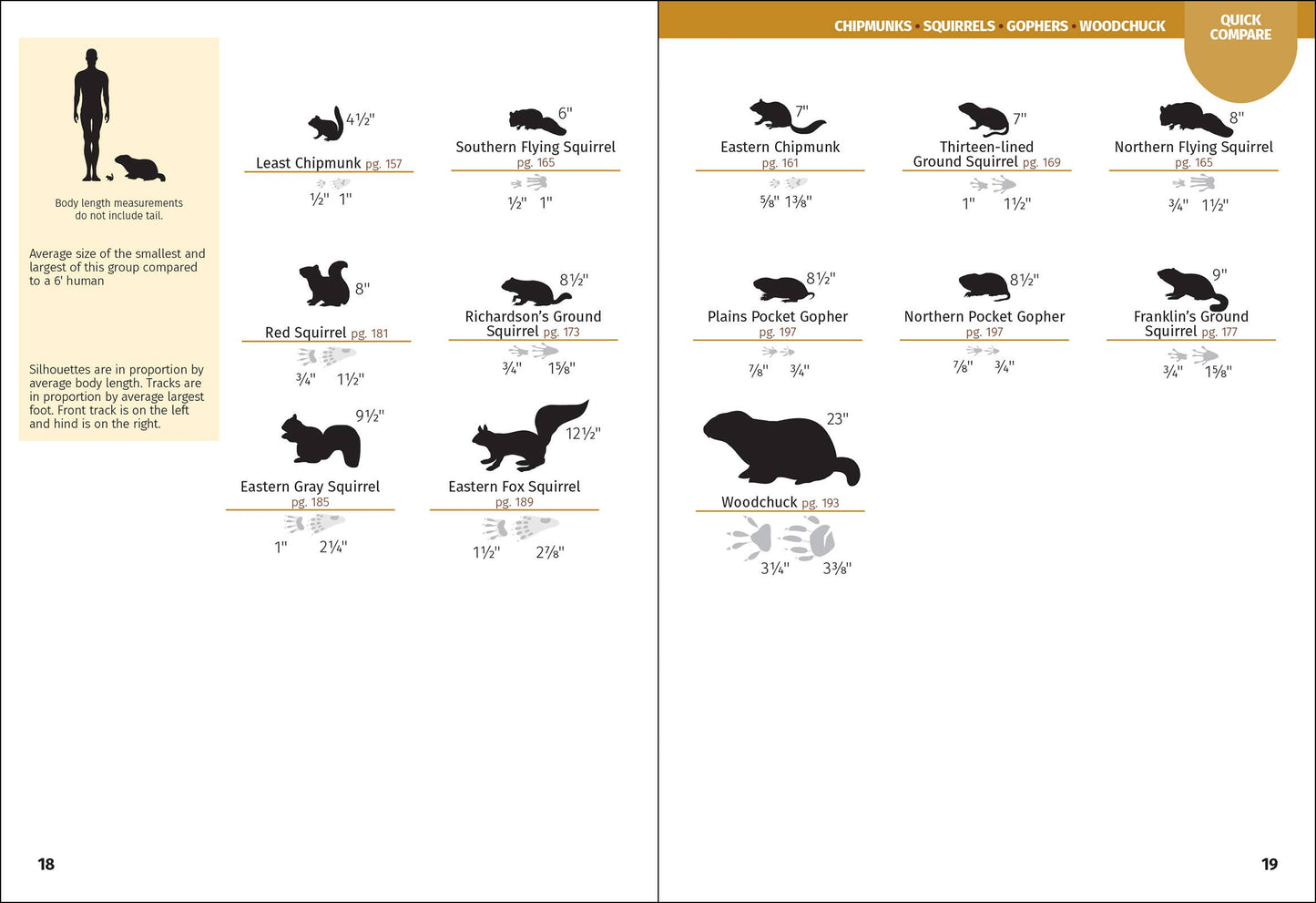 Mammals of Minnesota Field Guide
