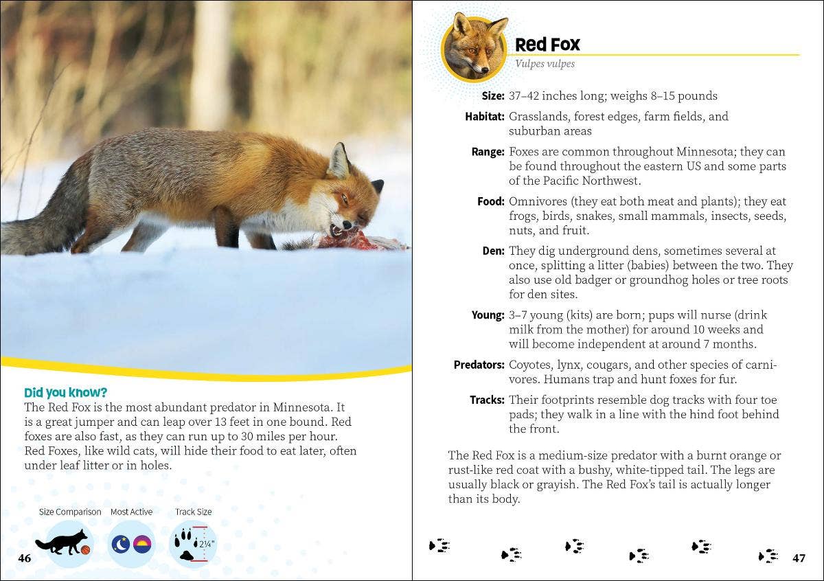 Critters of Minnesota: Pocket Guide to Animals in Your State (Wildlife Pocket Guides for Kids)