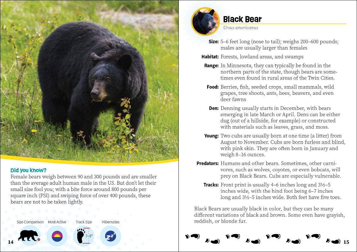 Critters of Minnesota: Pocket Guide to Animals in Your State (Wildlife Pocket Guides for Kids)