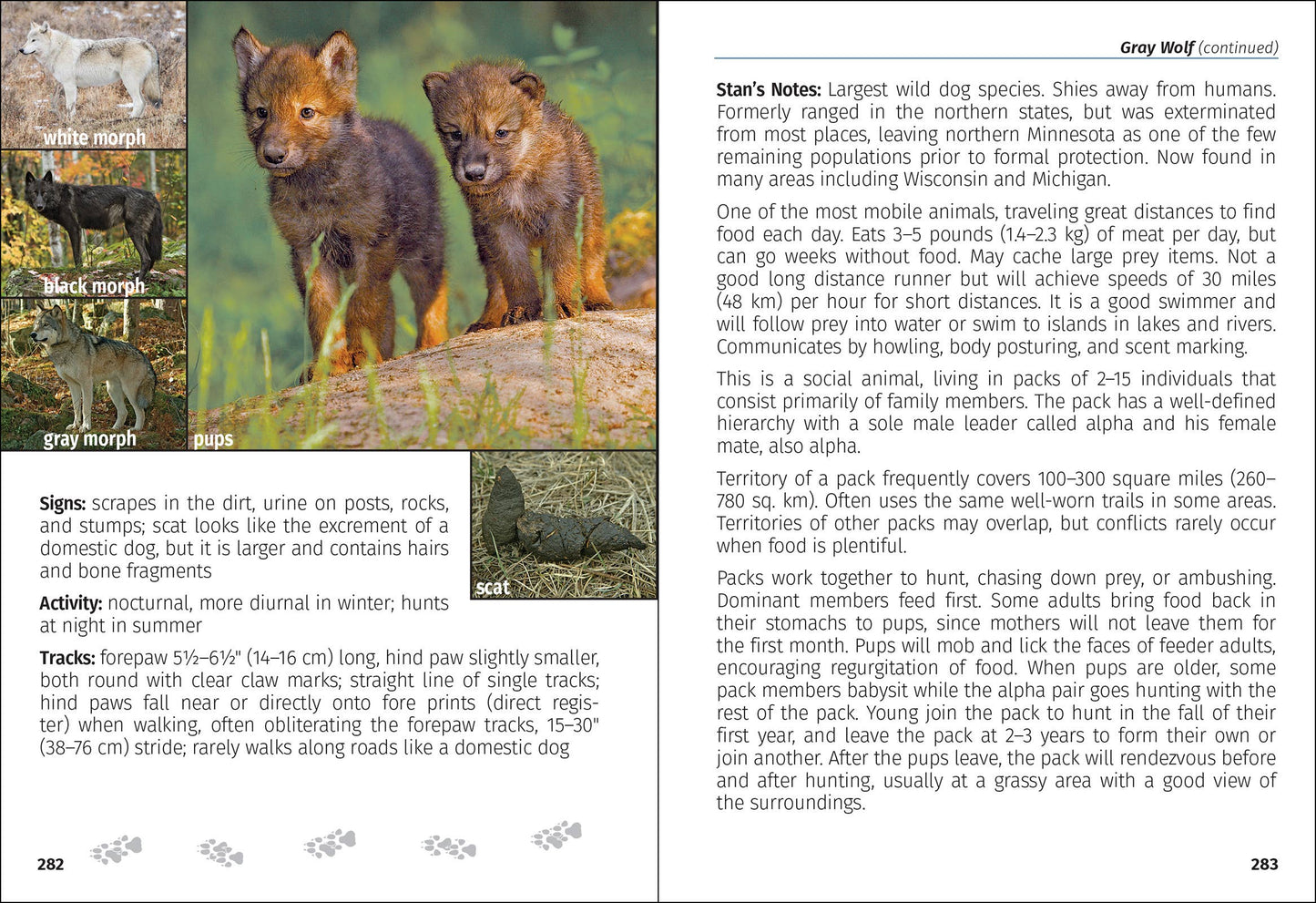 Mammals of Minnesota Field Guide