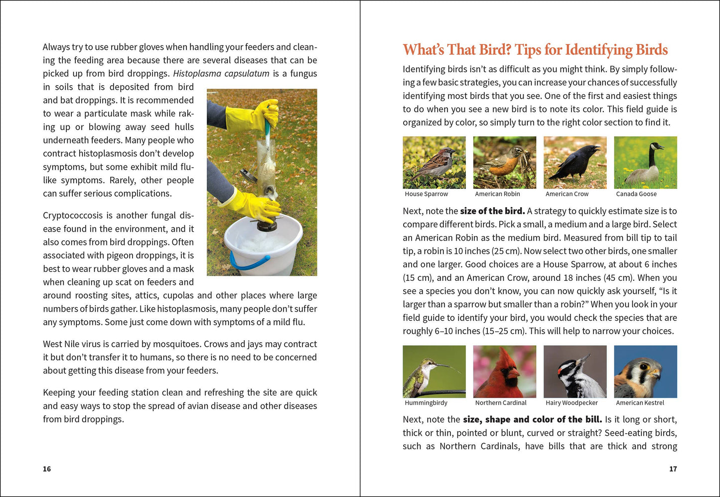 Stan Tekiela Birding Beginners: Midwest