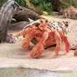 FOLKMANIS® Hermit Crab Puppet