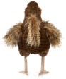 FOLKMANIS® Hen Puppet